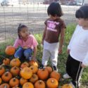 CRYP Will Host Halloween Basketball & Halloween Carnival This Month