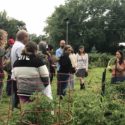 For CRYP’s Teen Interns, Native Food Sovereignty Took Center Stage This Summer
